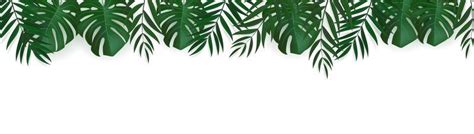 Palm Leaf Border Vector Art, Icons, and Graphics for Free Download