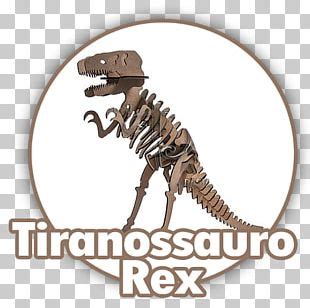 Spinosaurus Theropods Tyrannosaurus Brachiosaurus Dinosaur PNG, Clipart, Amphibian, Animal ...