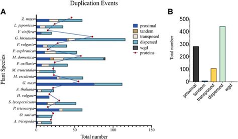 Frontiers Genomic Survey Of TCP Transcription Factors In Plants