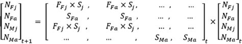 Age‐structured Two‐sex Matrix Population Model Of A Hypothetical Common