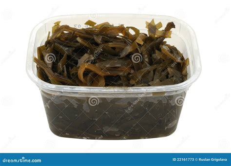 kelp salad   plastic pot stock image image  green heap