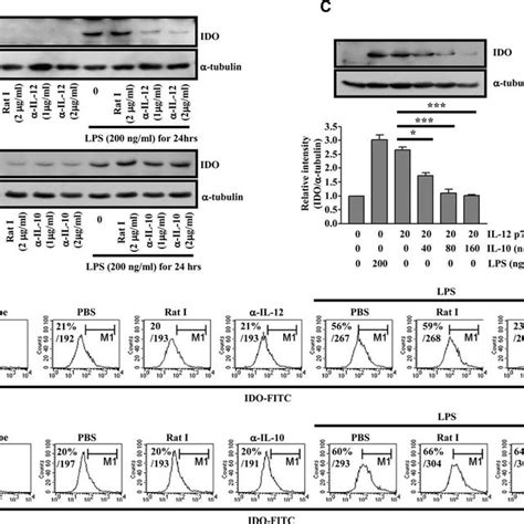 Galectin Binds To Lps And Blocks Lps Induced Inflammatory Cytokine