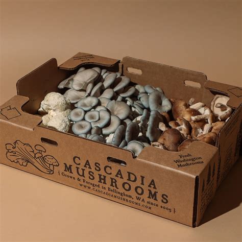 Fresh Organic Mushrooms 5lb Cascadia Mushrooms