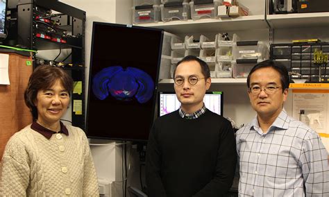 MCB News Uchida Neuron Hex Harvard University Department Of