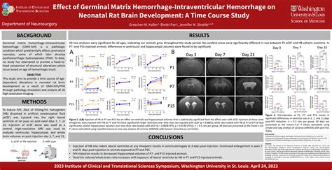 Germinal Matrix Brain