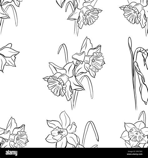 Spring Flowers Collection Of Daffodils Seamless Verctor Pattern Stock