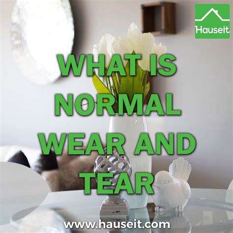 What Is Normal Wear And Tear Hauseit New York Florida