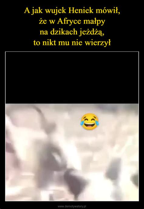 A Jak Wujek Heniek M Wi E W Afryce Ma Py Na Dzikach Je D To Nikt