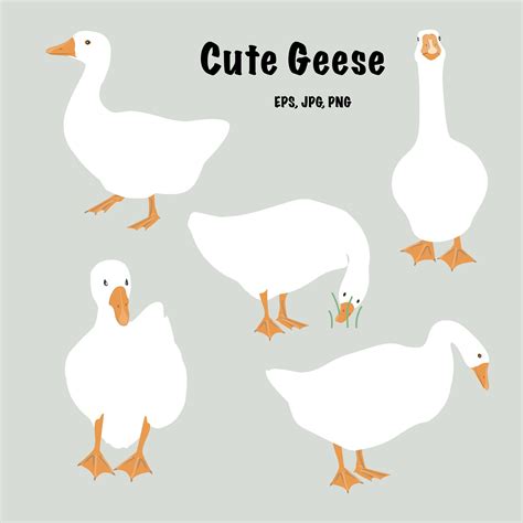 Cute White Geese Set With Detailed Legs And Heads Goose Isolated Collection  Esp And Png