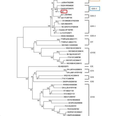 Phylogenetic Tree Of The 3 End Of Rdrp Nucleotide Sequences 780 Bp