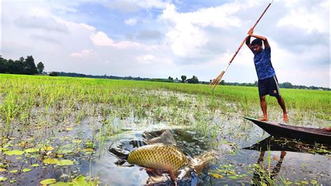 Unique Bamboo Fish Traping By Boat Monster Fish Catching YouTube