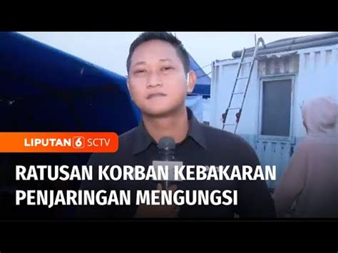 Live Report Ratusan Korban Kebakaran Di Penjaringan Mengungsi Di Tenda