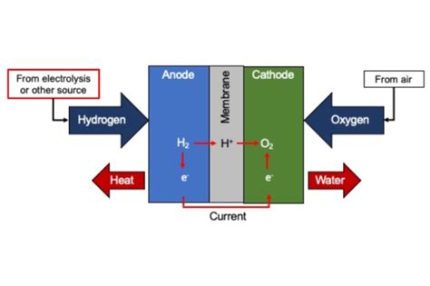 How Hydrogen Fuel Cells Work