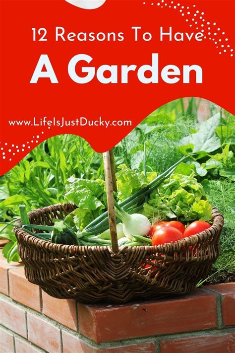 12 Excellent Reasons To Garden Why Everyone Should Have A Garden