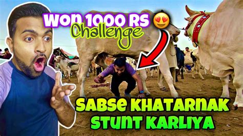 Challenge Win Karliya Pr Chot Lag Gai Maleer Mandi 2024 Cow Vlog