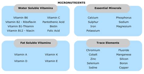 micronutrients - Public Health Notes