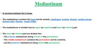 Anatomy (middle mediastinum) | PPT