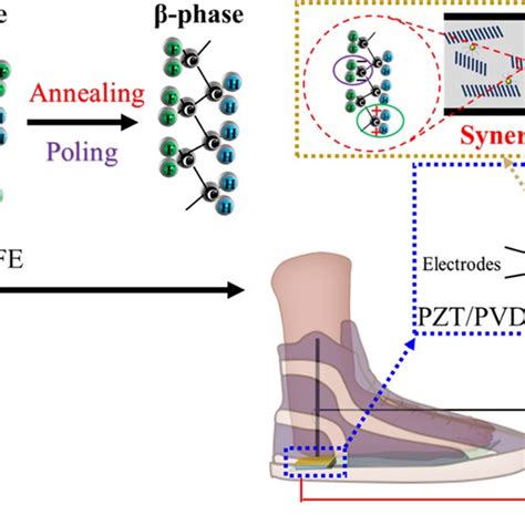 Design Concept Of Pztpvdf Trfe Composite Film And Schematic Diagram Of Download Scientific