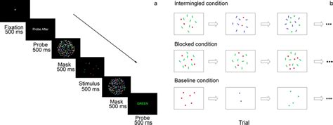 A Schematic Illustration Describing The Procedure Of Experiment 1b A