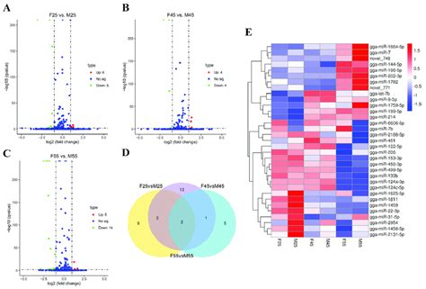 The Differentially Expressed Mirnas In Chicken Embryos And Gonads