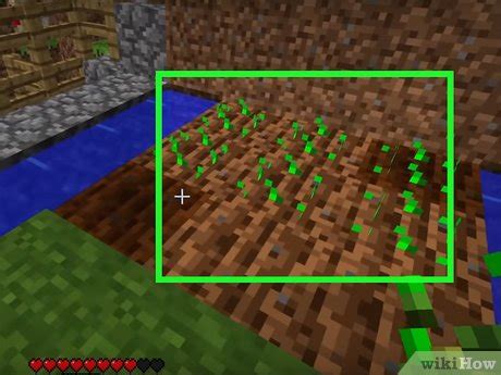 4 Formas De Plantar Semillas En Minecraft WikiHow