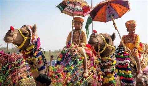 Royal Rajasthan A Cultural Escape Nature Safari India