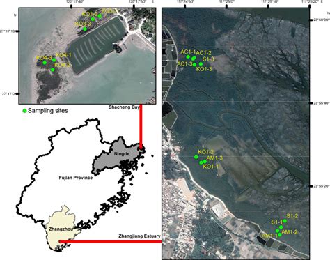 Frontiers Geographical Factor Dominates Spatial Patterns Of Potential