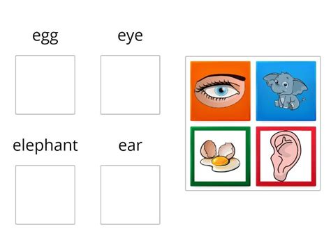 Letter e Words - Group sort