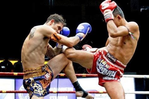 Tudo Sobre O Treino De Muay Thai Funcional Blog Pratique Fitness