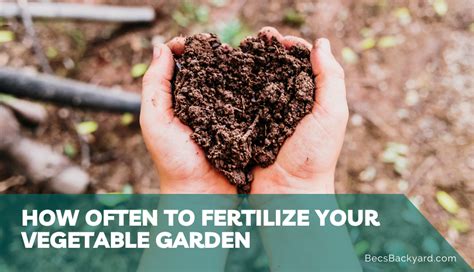 How Often To Fertilize Your Vegetable Garden A Complete Guide