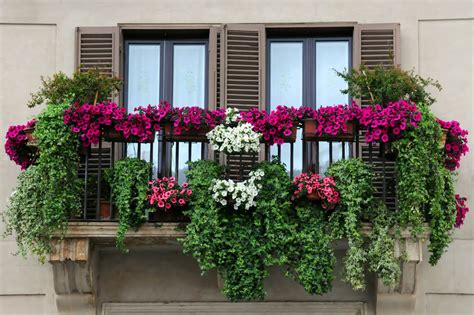 40 Window And Balcony Flower Box Ideas Photos Home Stratosphere