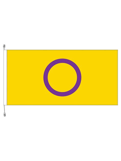 Intersex Pride Horizontal Flag 1800x900mm Flagmakers Ltd