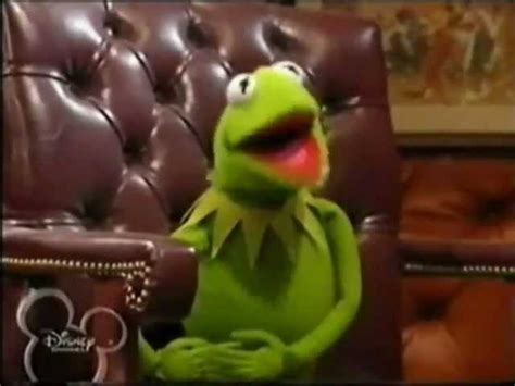 Kermit The Frog Mad