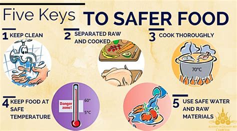 Keys To Food Safety Poster Food Safety Posters Food 48 Off