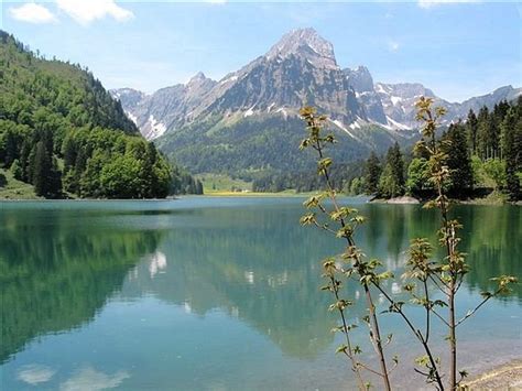 Obersee (Glarus) - Alchetron, The Free Social Encyclopedia