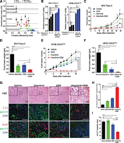 Figure From Concurrent Her Or Pi K Inhibition Potentiates The