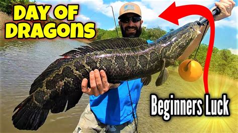 Jackpot Beginner Catches Fish Of A Lifetime Maryland Snakehead Fishing