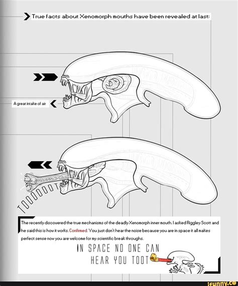 True facts about Xenomarph mouths have been revealed at last: The ...