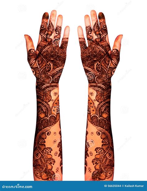 Henna Tattoo Stock Photo Image Of India Bodyart Decoration 56635044