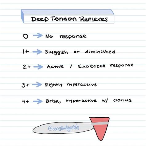deep tendon reflexes  provide indications