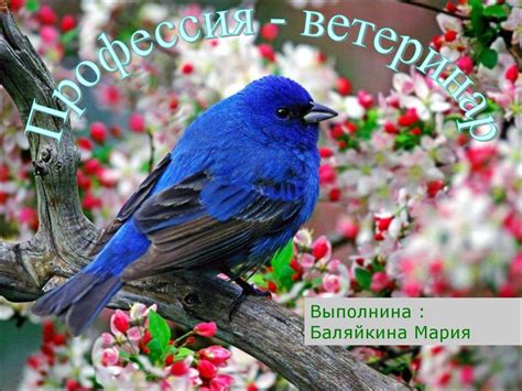 Профессия ветеринар. Этика ветеринара - презентация онлайн