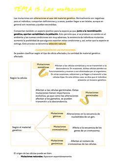 Tema Biolog A Bach Selectividad Tema Las Mutaciones Las