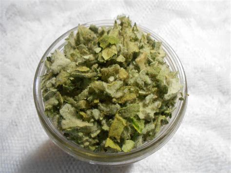 Mullein Leaf Dried Herb Tea Healthy Organic Medicinal Herbs Etsy