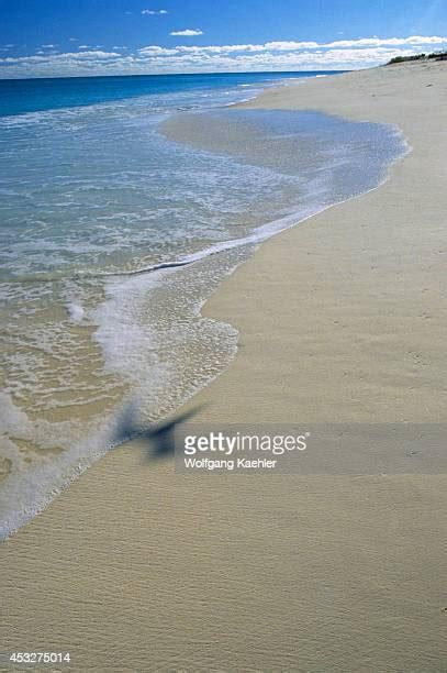 Bird Island Seychelles Photos and Premium High Res Pictures - Getty Images