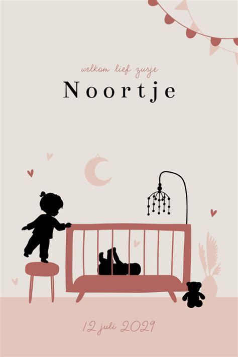 Geboortekaartjes Zusje Babykaartjes Met Grote Zus