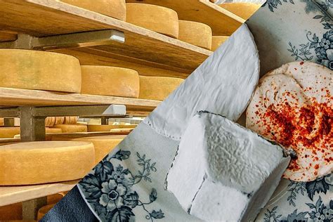 Where Can You Find the Best Cheese Made in Michigan?