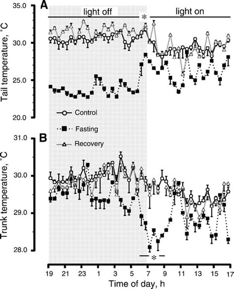 Circadian Body Temperature Rhythm And The Interaction With Energy State