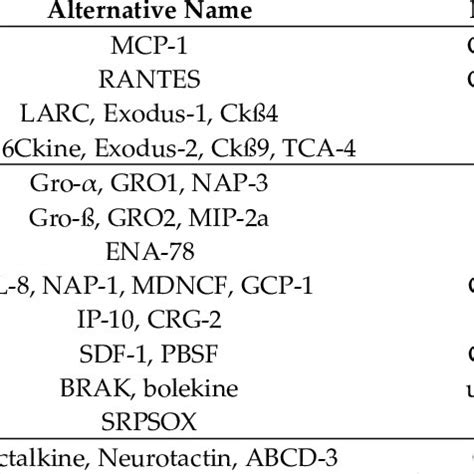 Schematic Representation Of The Nf B Chemokine Interactions In Pdac