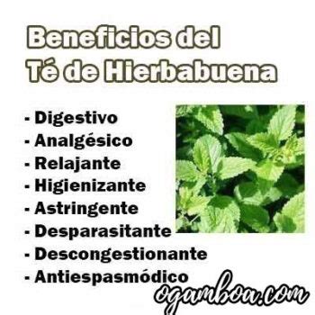 ᐈTé de Hierbabuena Beneficios para la Salud Como Prepararlo