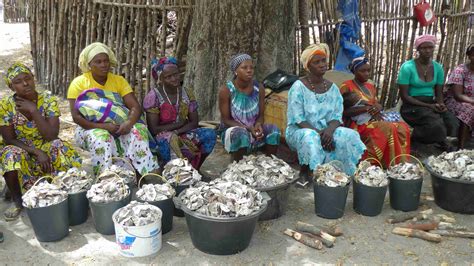 The Restoration Initiative A Guinea Bissau Story Story IUCN